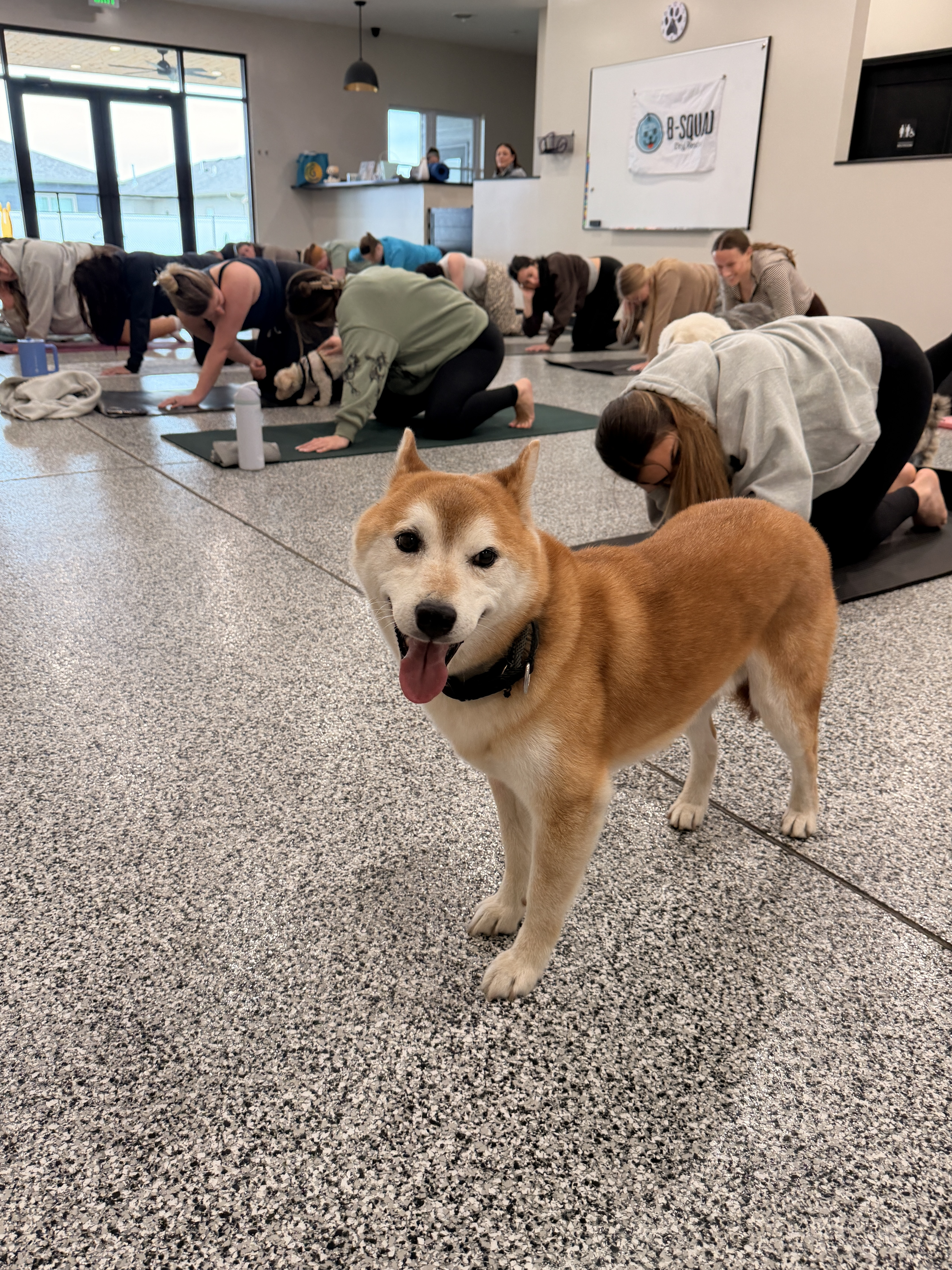 24-41 Hachiko Photo