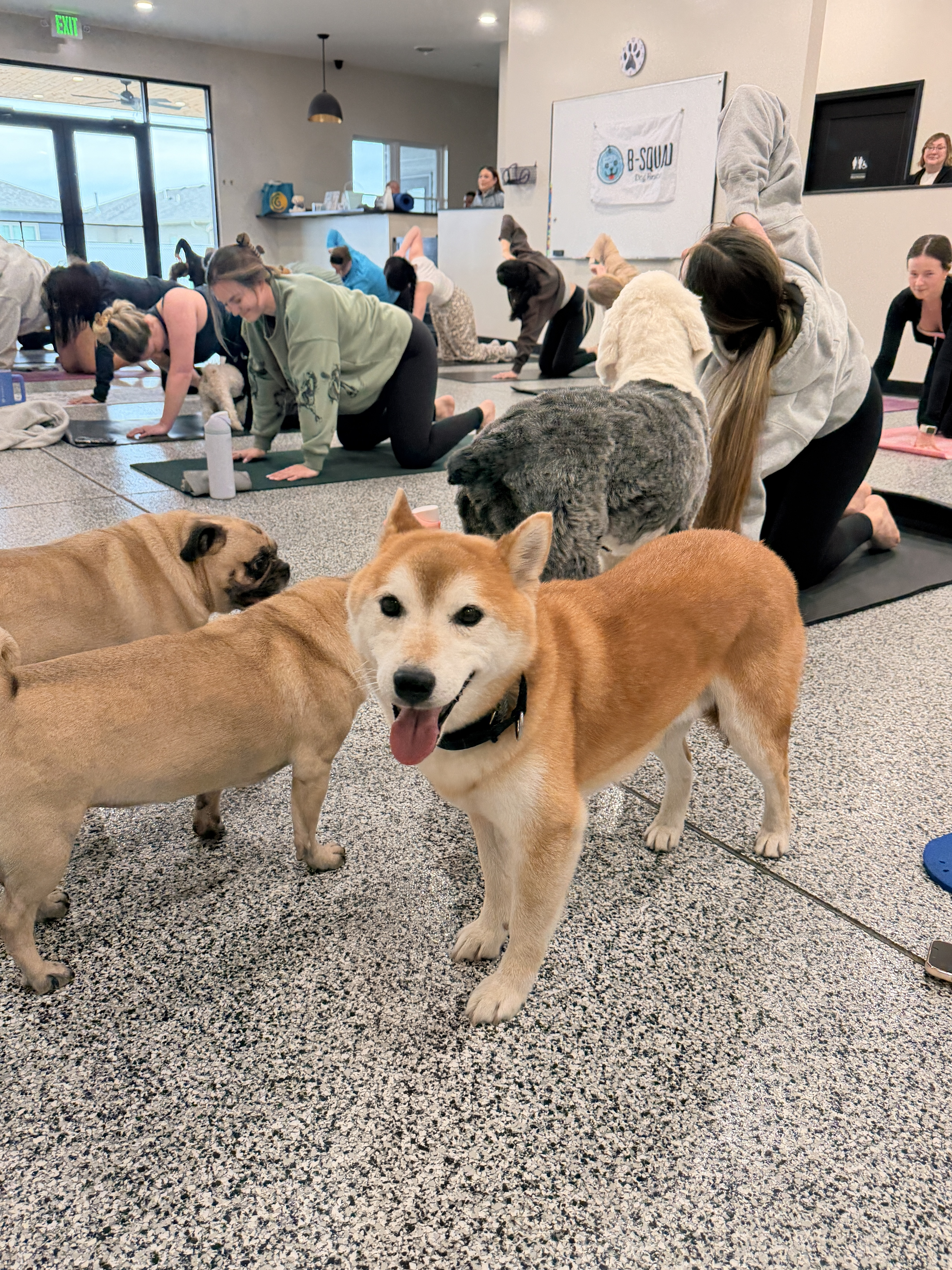 24-41 Hachiko Photo